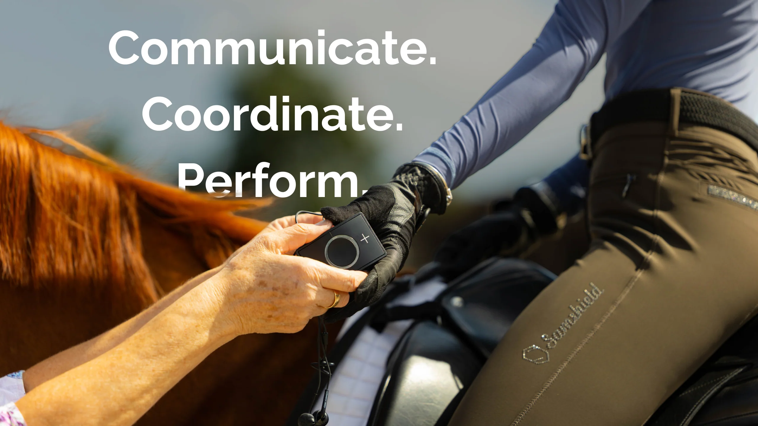 Welcome to Our Store